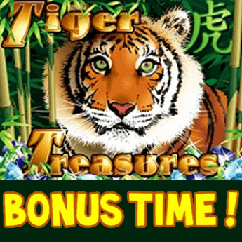 Tiger Treasures