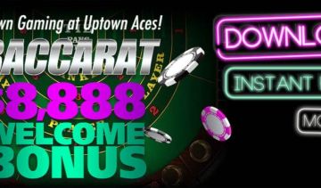 The top 5 things every Baccarat beginner should know